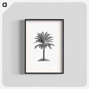アートポスター-Palm Tree
 - 大英図書館 Poster.