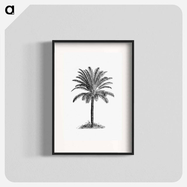 アートポスター-Palm Tree
 - 大英図書館 Poster.