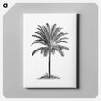 アートパネル-Palm Tree
 - 大英図書館 Canvas.