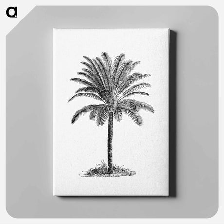 アートパネル-Palm Tree
 - 大英図書館 Canvas.