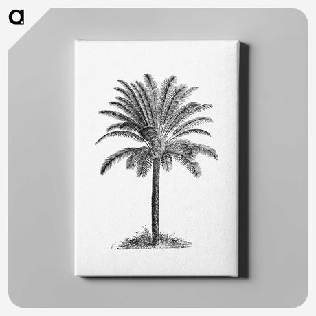 1-58_British-Library_canvas