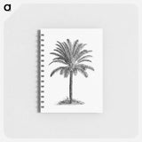 アートメモ帳-Palm Tree
 - 大英図書館 Memo.