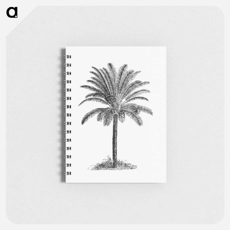 アートメモ帳-Palm Tree
 - 大英図書館 Memo.
