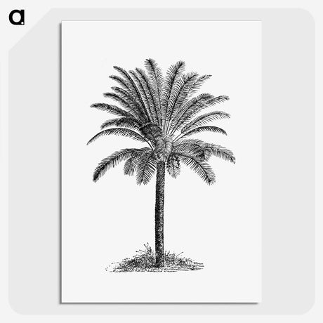1-58_British-Library_picture-crop