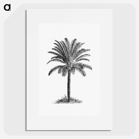 アートポスター-Palm Tree
 - 大英図書館 Poster.