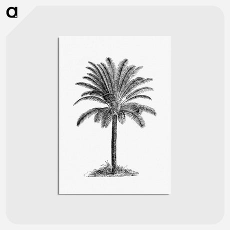 アートポストカード-Palm Tree
 - 大英図書館 Postcard.