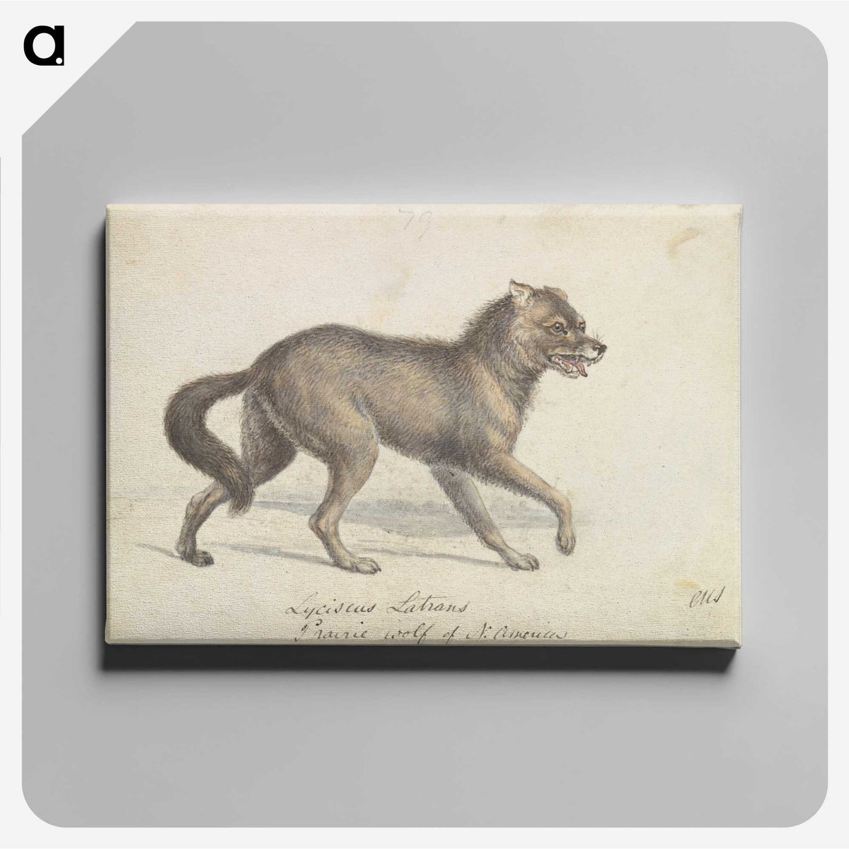 1-58_Charles-Hamilton-Smith_canvas