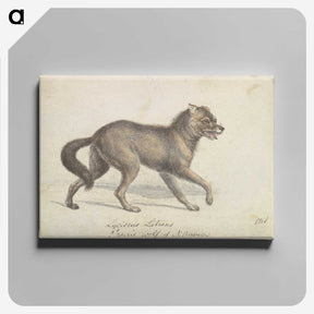 1-58_Charles-Hamilton-Smith_canvas