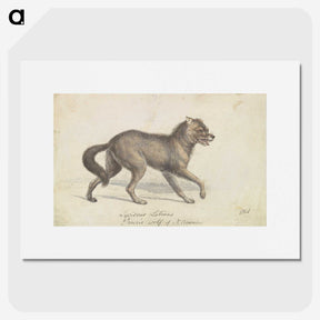 1-58_Charles-Hamilton-Smith_picture