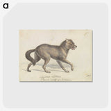 1-58_Charles-Hamilton-Smith_postcard