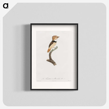 1-58_Des-Oiseaux-de-Paradis_blk