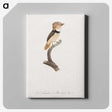1-58_Des-Oiseaux-de-Paradis_canvas