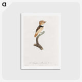 1-58_Des-Oiseaux-de-Paradis_hagaki