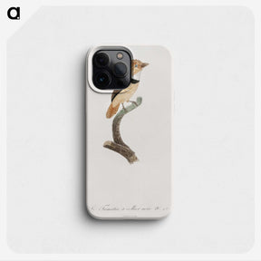 1-58_Des-Oiseaux-de-Paradis_phone