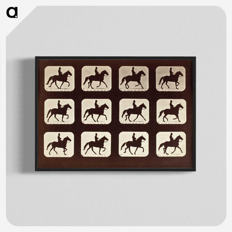 1-58_Eadweard-Muybridge_blk-crop