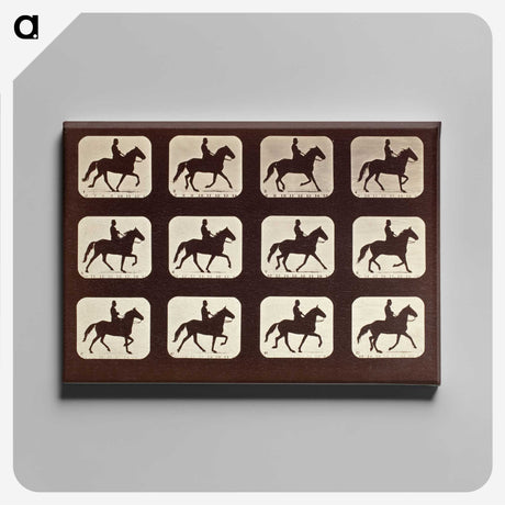 1-58_Eadweard-Muybridge_canvas