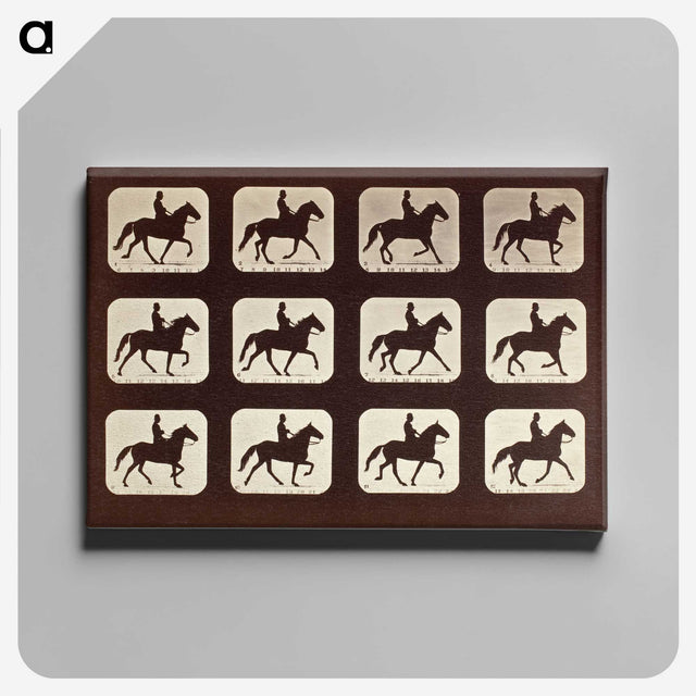 1-58_Eadweard-Muybridge_canvas