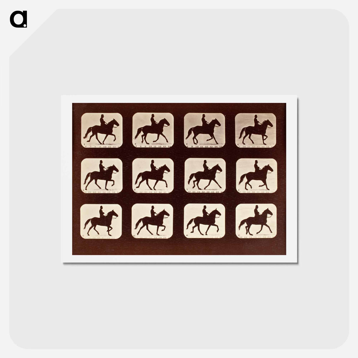 アートポストカード-The Amble: One Stride in Eleven Phases
 - エドワード マイブリッジ Postcard.