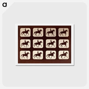 アートポストカード-The Amble: One Stride in Eleven Phases
 - エドワード マイブリッジ Postcard.