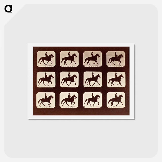アートポストカード-The Amble: One Stride in Eleven Phases
 - エドワード マイブリッジ Postcard.