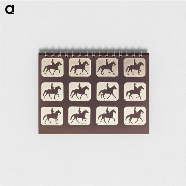 1-58_Eadweard-Muybridge_memo