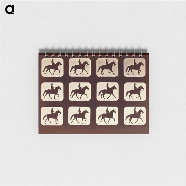 アートメモ帳-The Amble: One Stride in Eleven Phases
 - エドワード マイブリッジ Memo.