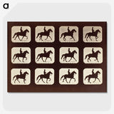 1-58_Eadweard-Muybridge_picture-crop