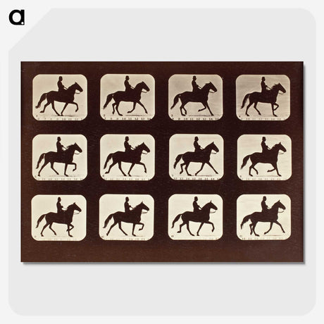 1-58_Eadweard-Muybridge_picture-crop