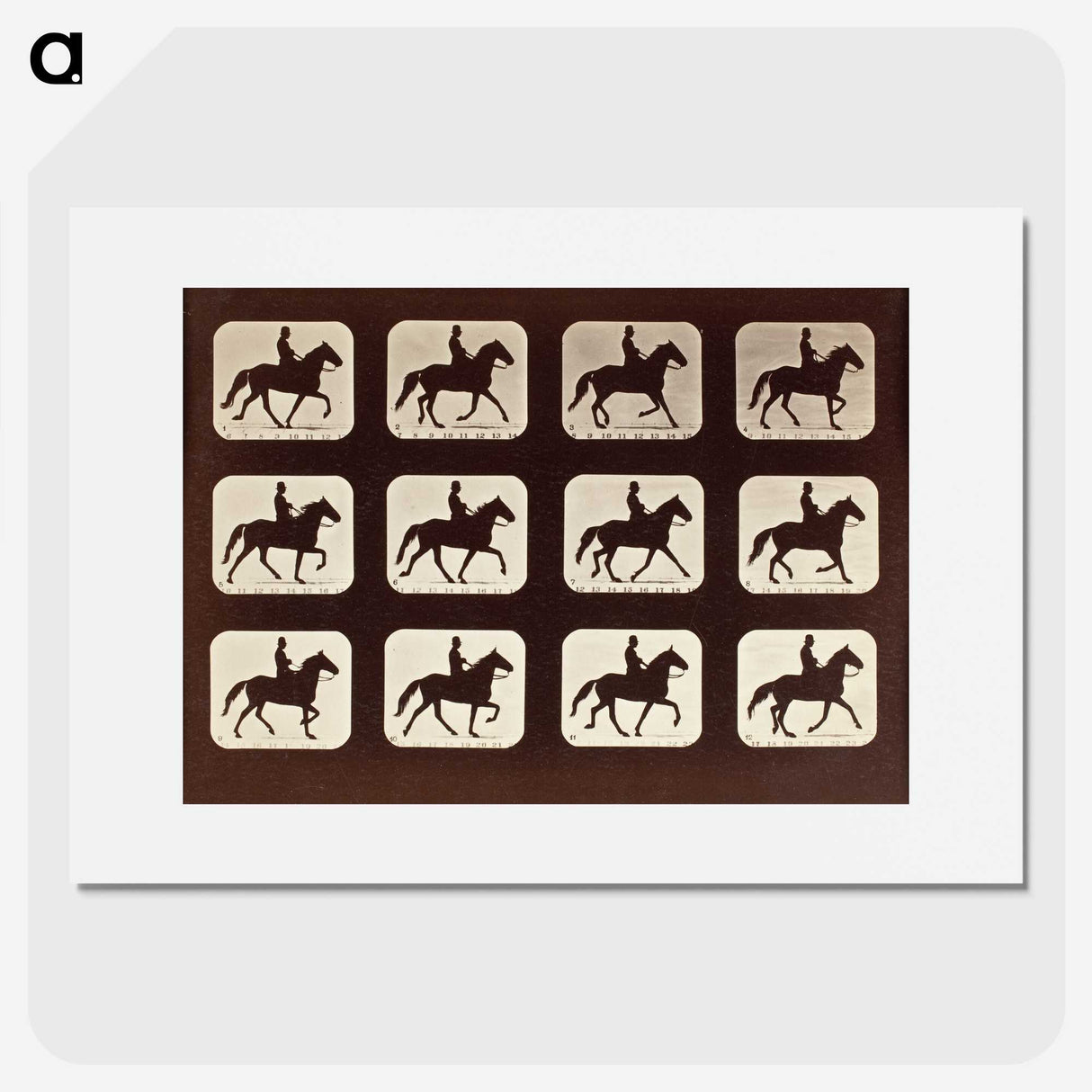 1-58_Eadweard-Muybridge_picture