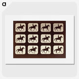 1-58_Eadweard-Muybridge_picture