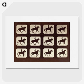 1-58_Eadweard-Muybridge_picture