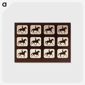 1-58_Eadweard-Muybridge_postcard