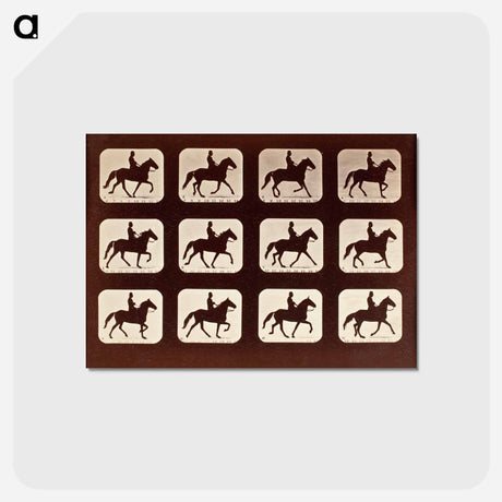 アートポストカード-The Amble: One Stride in Eleven Phases
 - エドワード マイブリッジ Postcard.