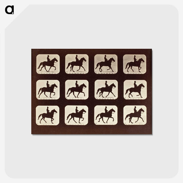 1-58_Eadweard-Muybridge_postcard