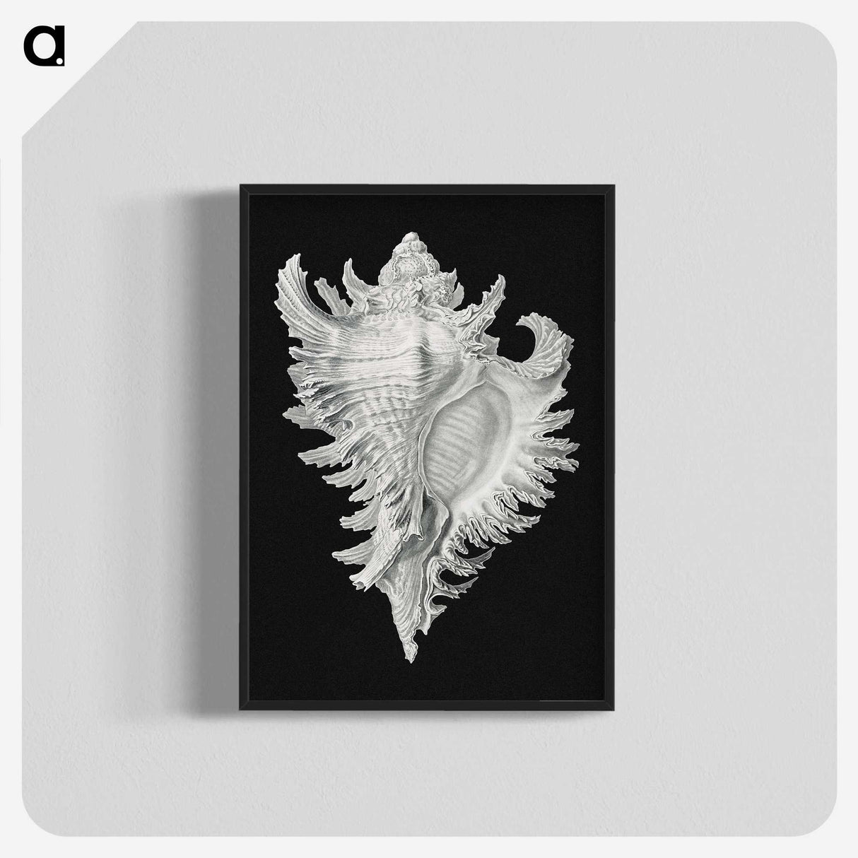 1-58_Ernst-Haeckel_blk-crop