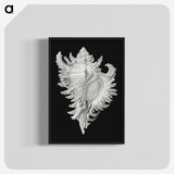 1-58_Ernst-Haeckel_blk-crop