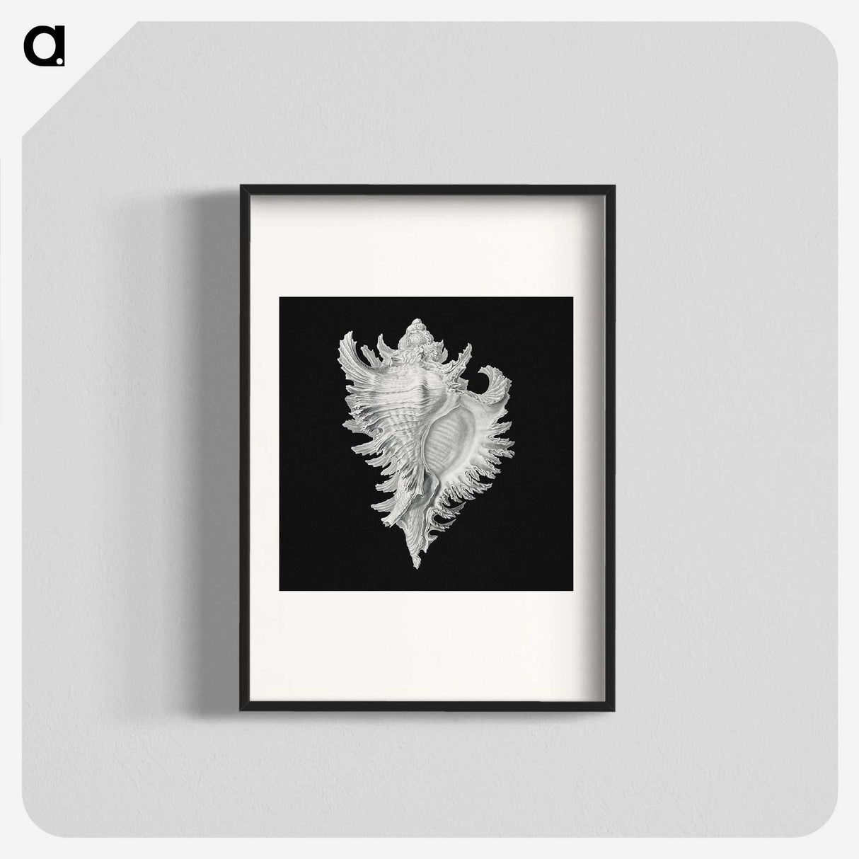 1-58_Ernst-Haeckel_blk