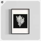 1-58_Ernst-Haeckel_blk
