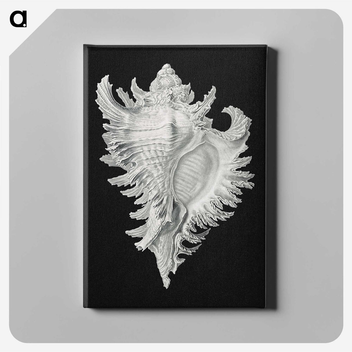 1-58_Ernst-Haeckel_canvas