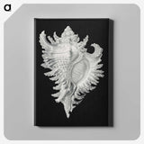 1-58_Ernst-Haeckel_canvas