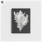 1-58_Ernst-Haeckel_memo