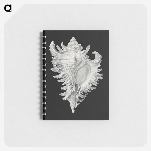 1-58_Ernst-Haeckel_memo