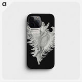 1-58_Ernst-Haeckel_phone