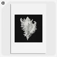 1-58_Ernst-Haeckel_picture