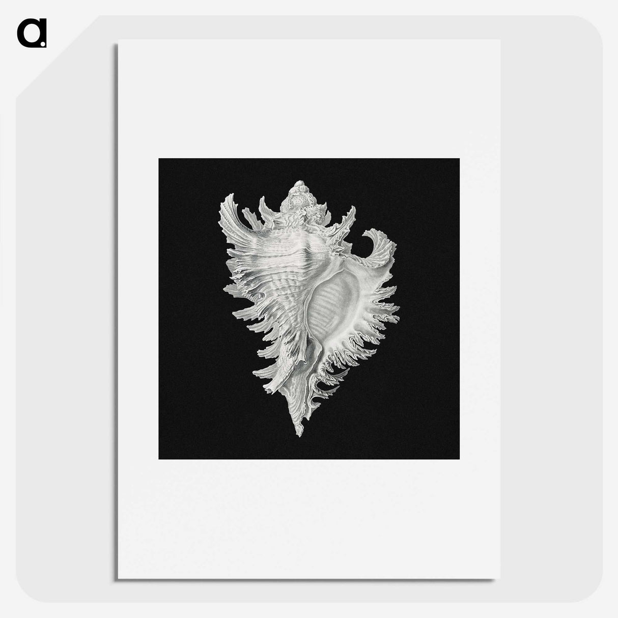 1-58_Ernst-Haeckel_picture