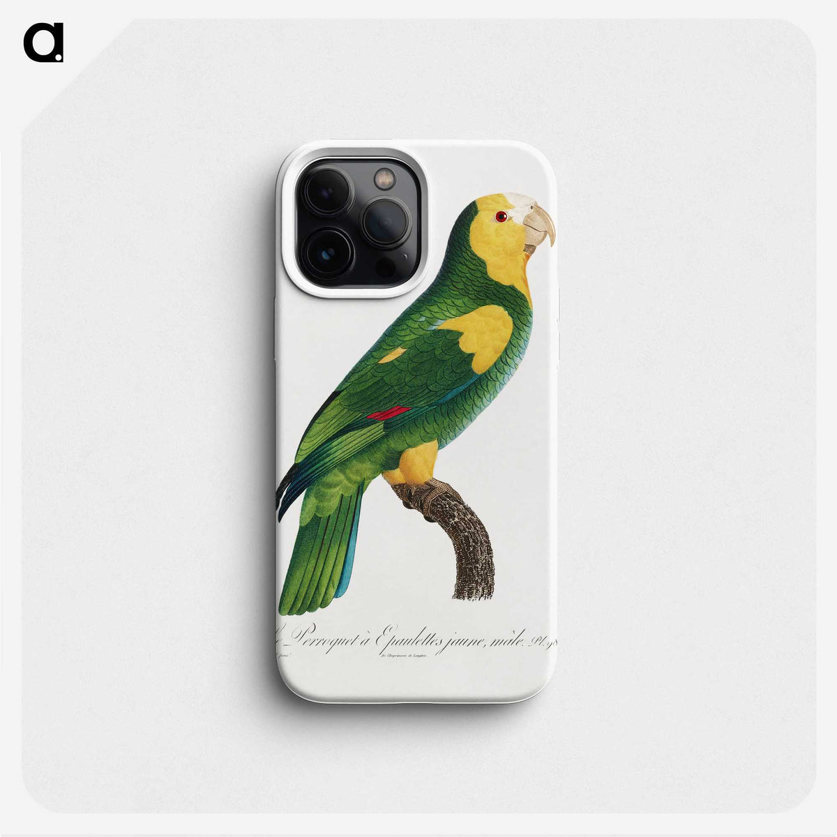 1-58_Francois-Levaillant_phone