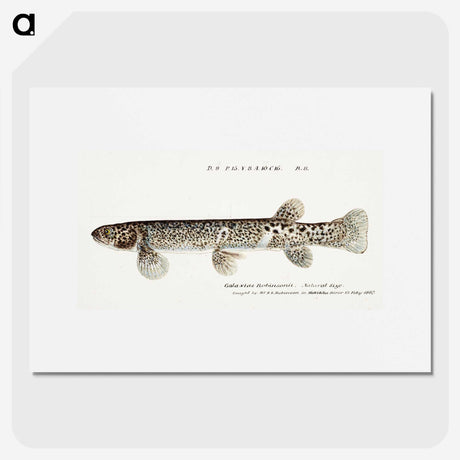 1-58_Frank-Edward-Clarke_picture