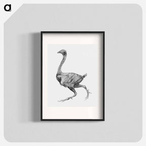 アートポスター-Fowl, Lateral View
 - ジョージ スタッブス Poster.