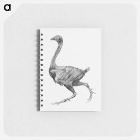 アートメモ帳-Fowl, Lateral View
 - ジョージ スタッブス Memo.