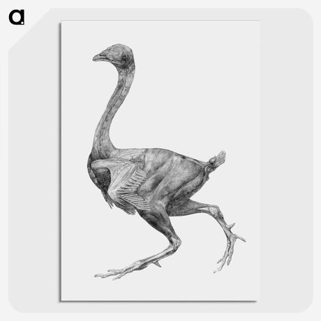 1-58_George-Stubbs_picture-crop